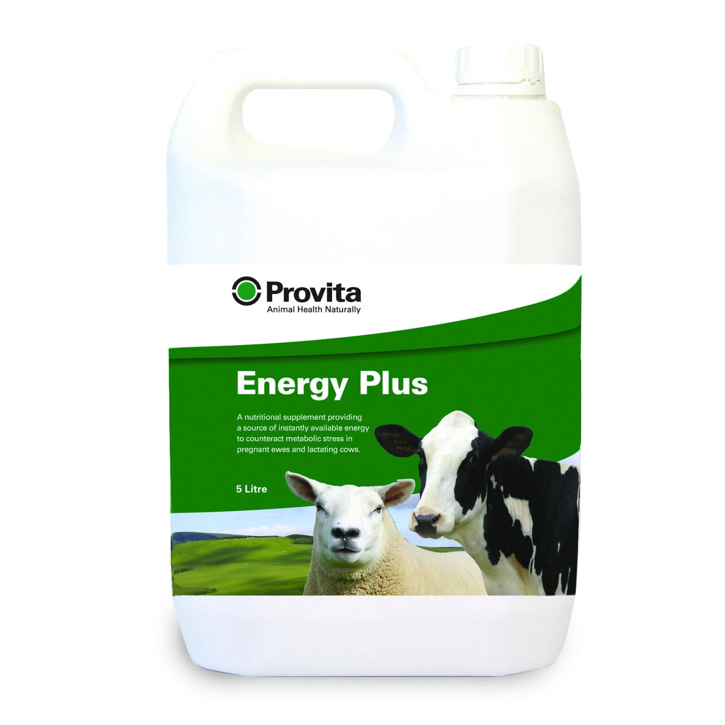 Provita Energy Plus Nutritional Supplement for Cows with Ketosis