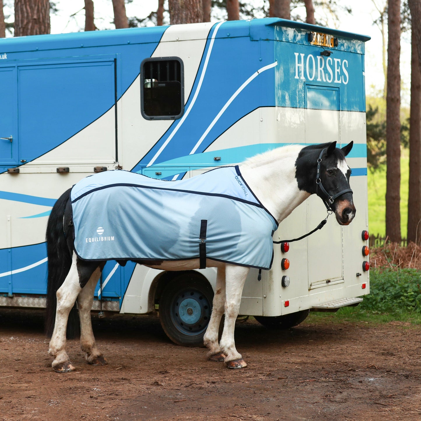 Equilibrium Products Horse Quick Chill Rug Cooling Solution for Warm