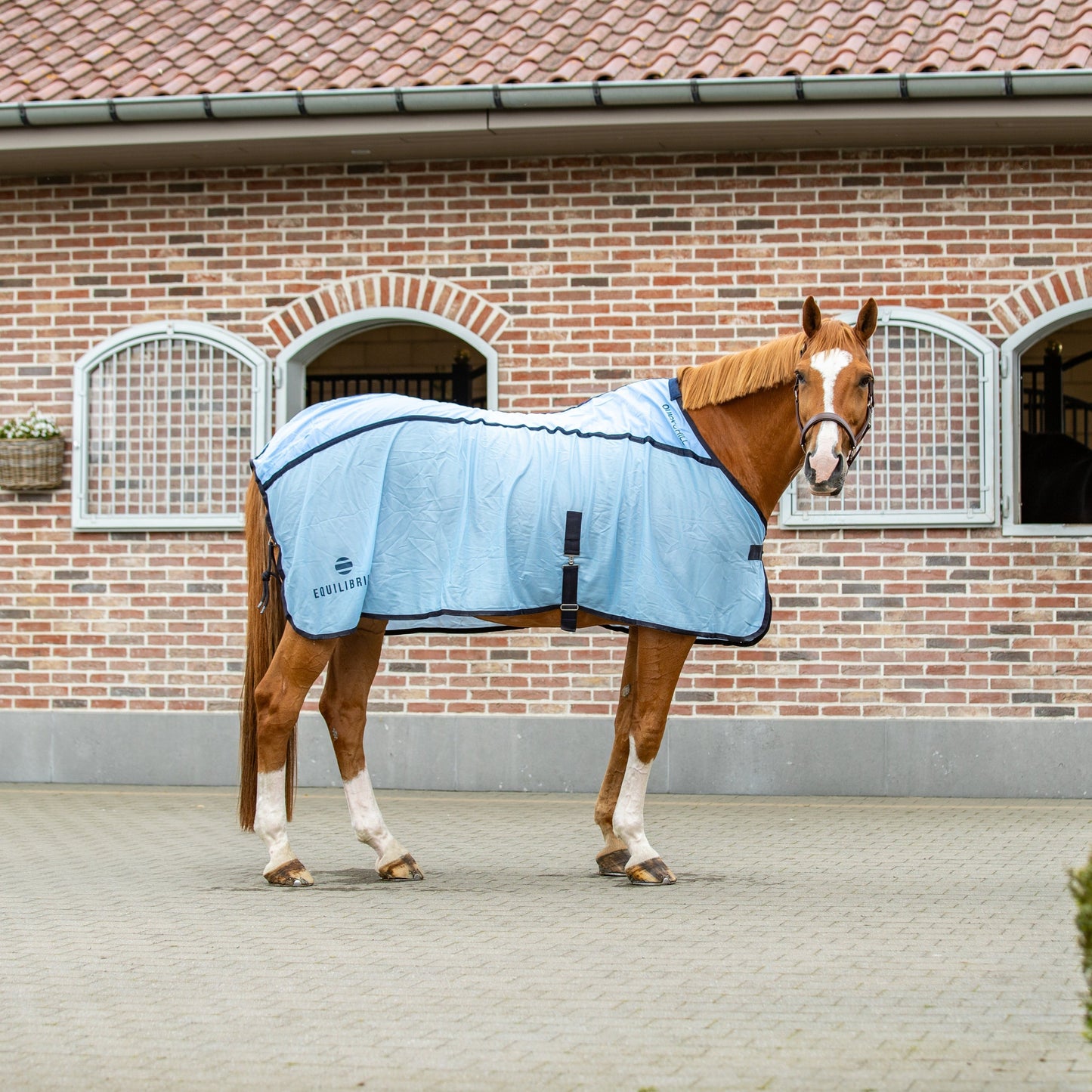 Equilibrium Products Horse Quick Chill Rug Cooling Solution for Warm