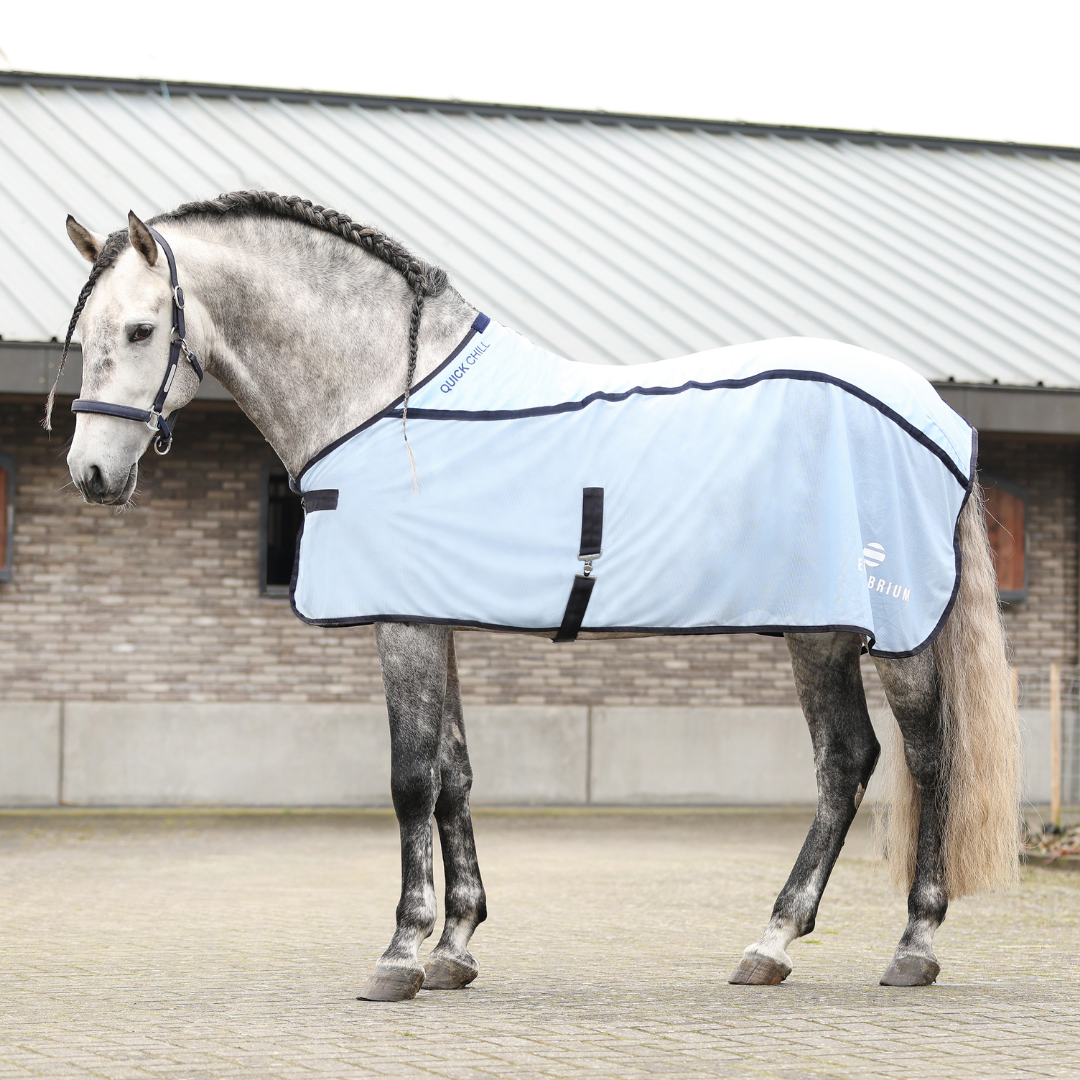 Equilibrium Products Horse Quick Chill Rug Cooling Solution for Warm