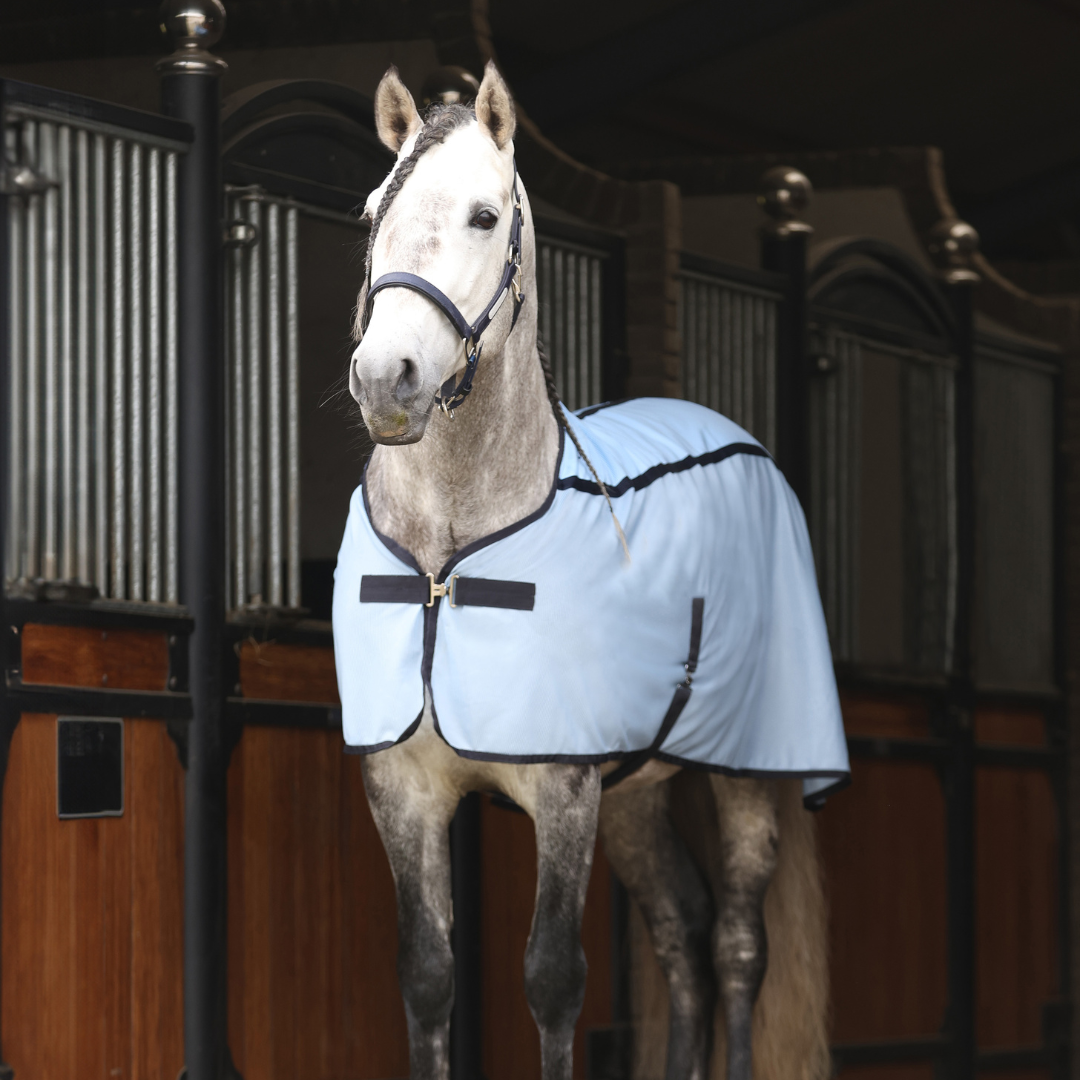 Equilibrium Products Horse Quick Chill Rug Cooling Solution for Warm