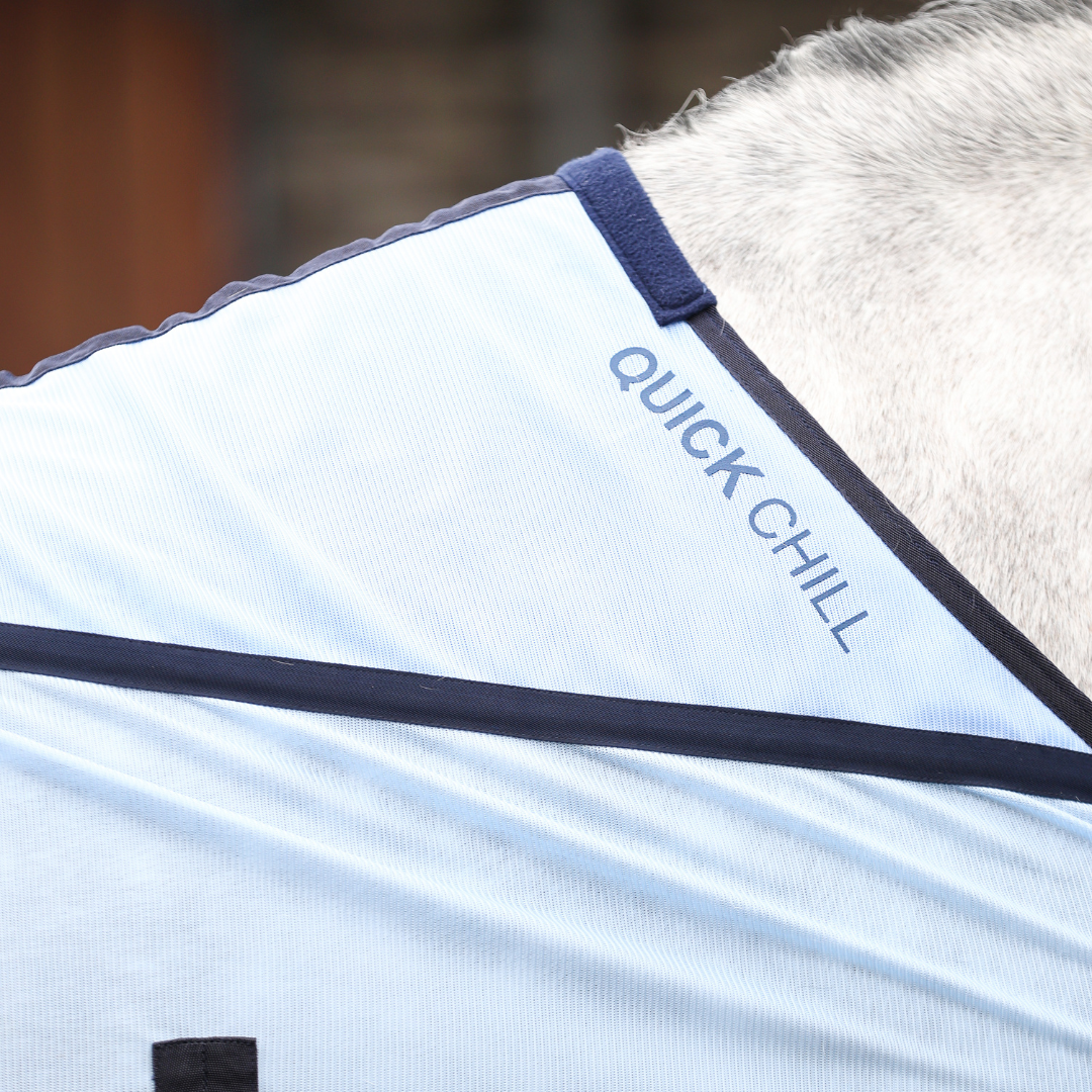 Equilibrium Products Horse Quick Chill Rug Cooling Solution for Warm