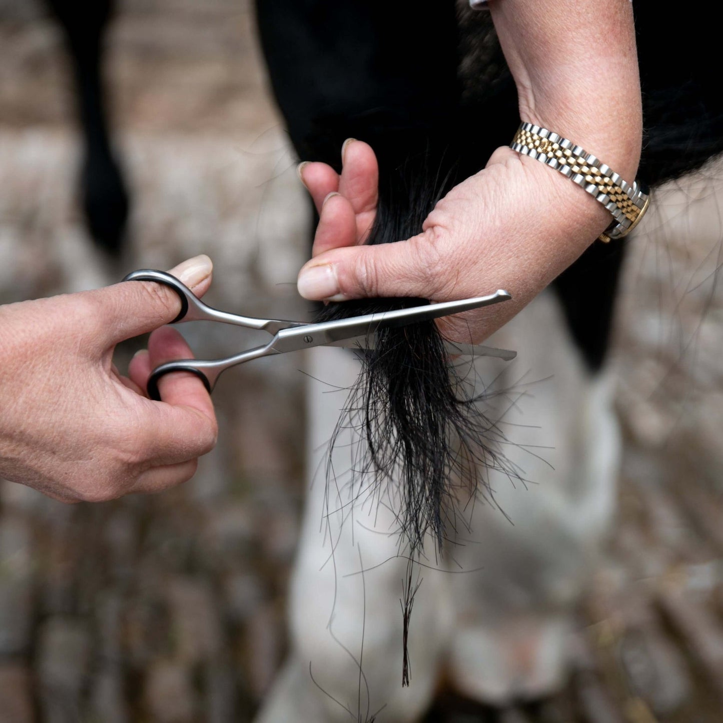 Smart Grooming Straight Safety Scissor S For Horse Trimming Professional Use