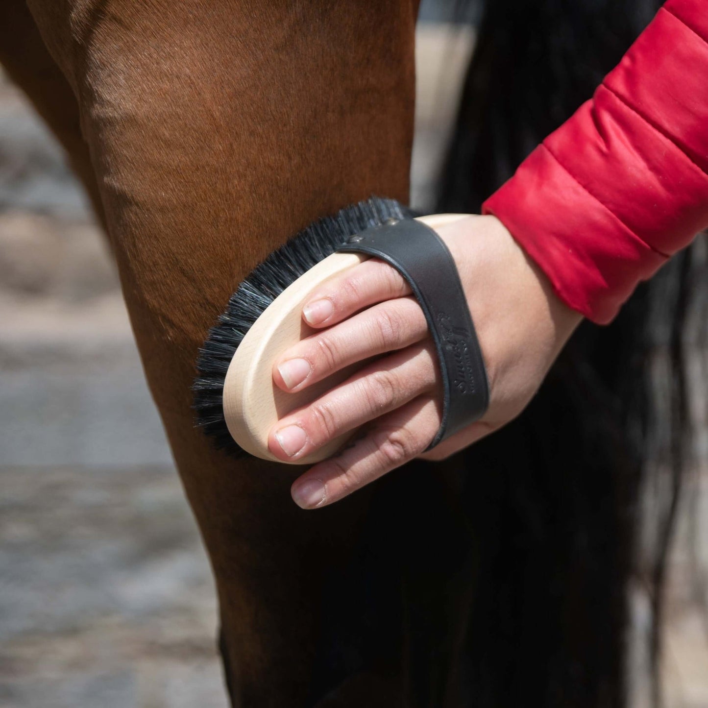 Smart Grooming Extreme Clean Brush Horse Natural Hog Bristles
