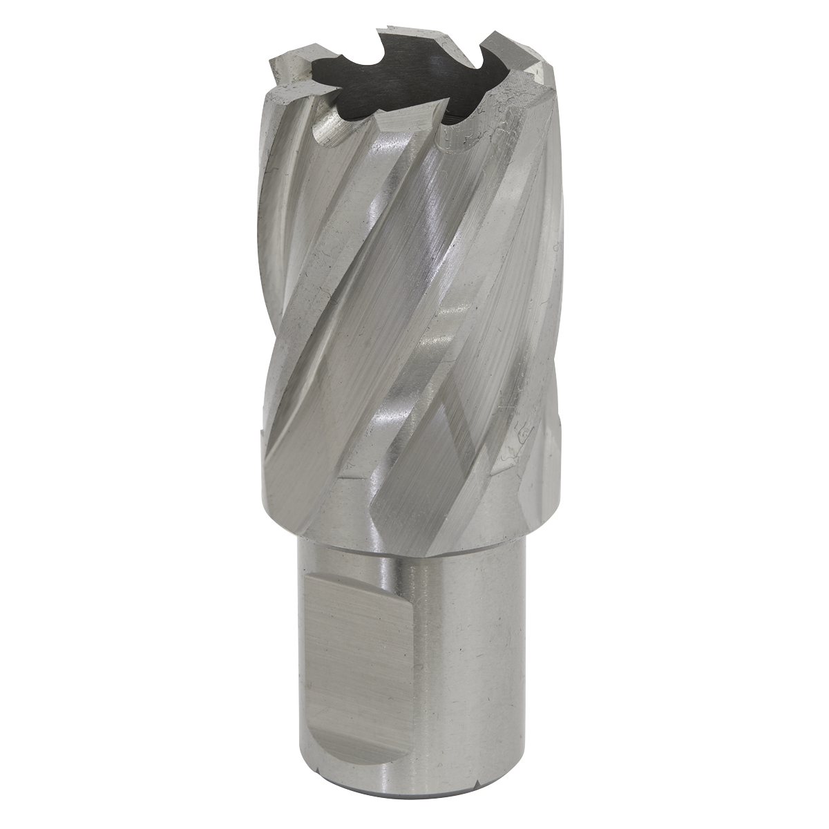 Sealey Rotabor Cutter HSS 25mm Ã˜ 25mm Cut Depth Universal 19mm Shank