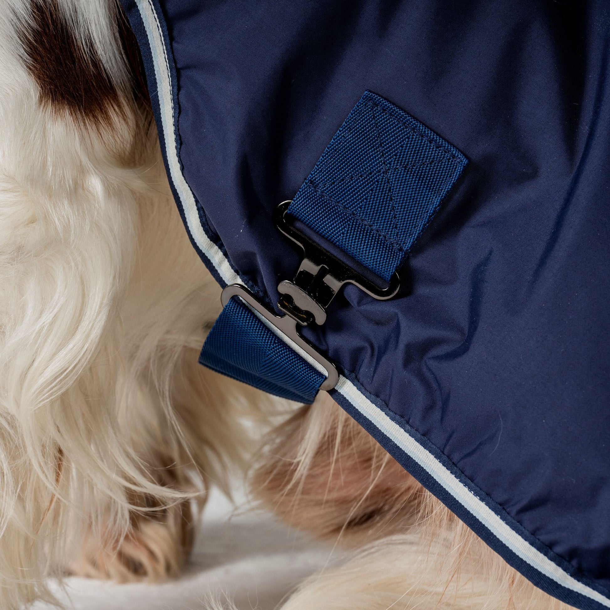 Horseware Ireland Newmarket Dog Coat #colour_witney-navy