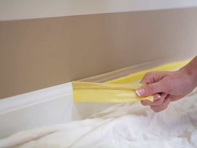 FrogTape Delicate Surface Masking Tape 24mm x 41.1m UV Resistant PaintBlock