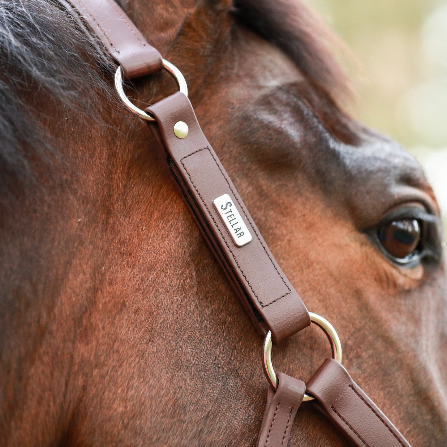 Equilibrium Stellar All-Weather Safety Headcollar #colour_brown