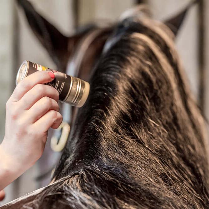 Smart Grooming Plaiting Wax Outdoor Tool For Easy Braiding and Taming Flyaways