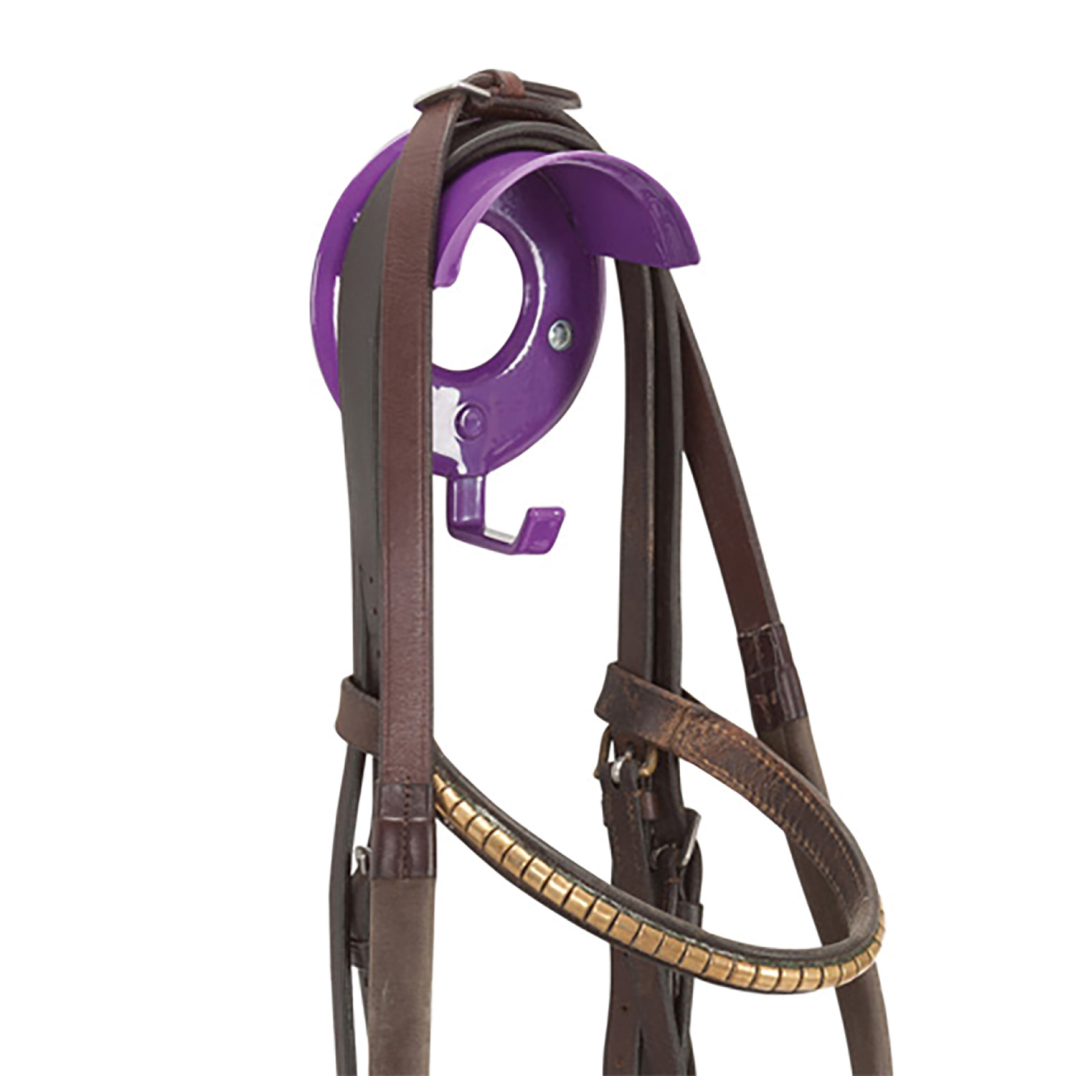 #colour_purple