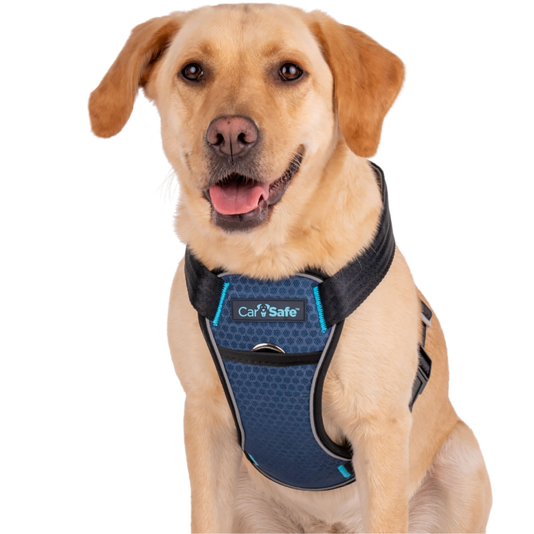 Trilanco Carsafe Crash Tested Dog Harness for Safe Car Travel and Walking