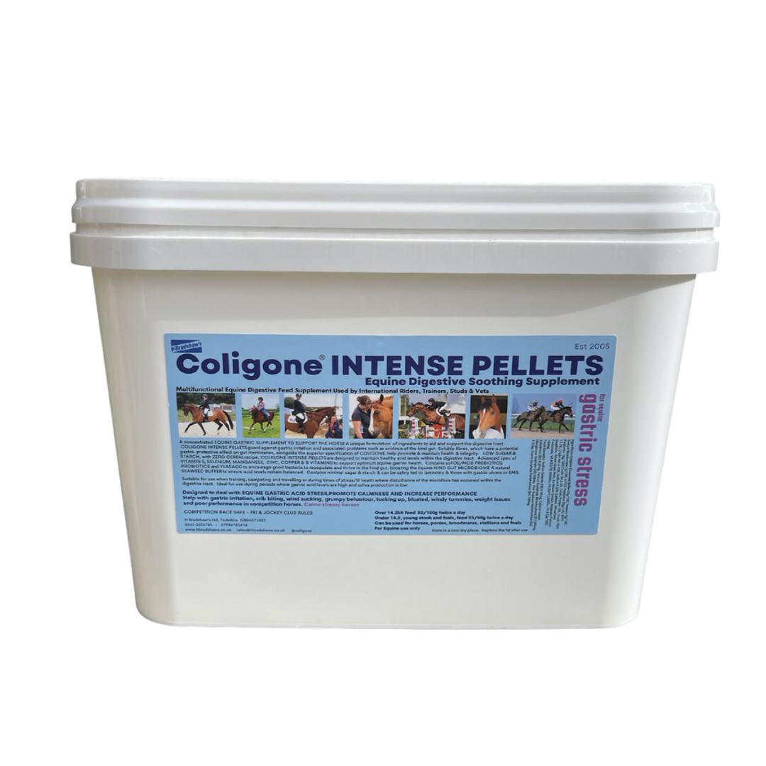 H Bradshaws Coligone Intense Pellets Equine Gastric Supplement