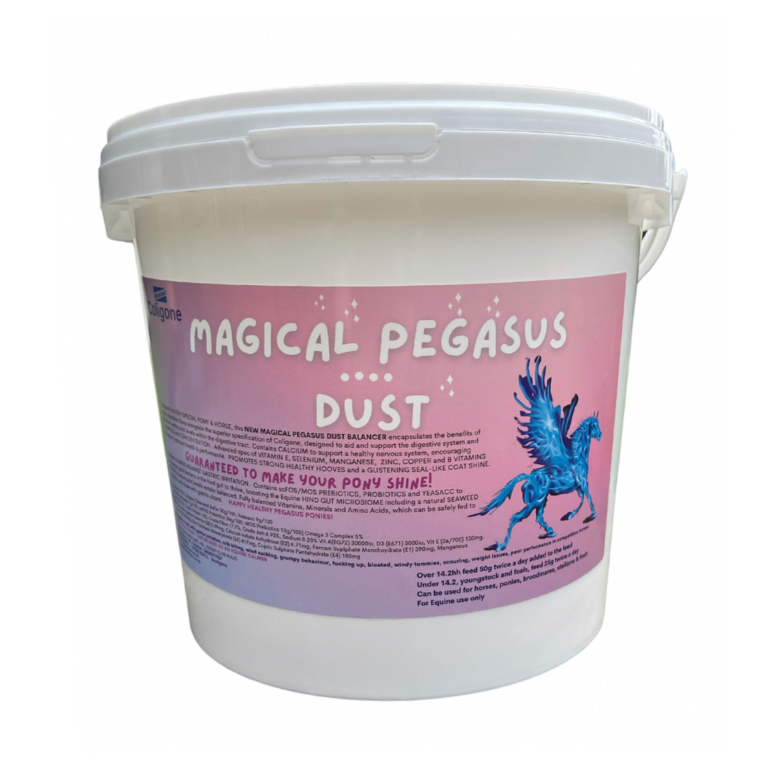 H Bradshaws Coligone Magical Pegasus Dust Digestive Support for Horses