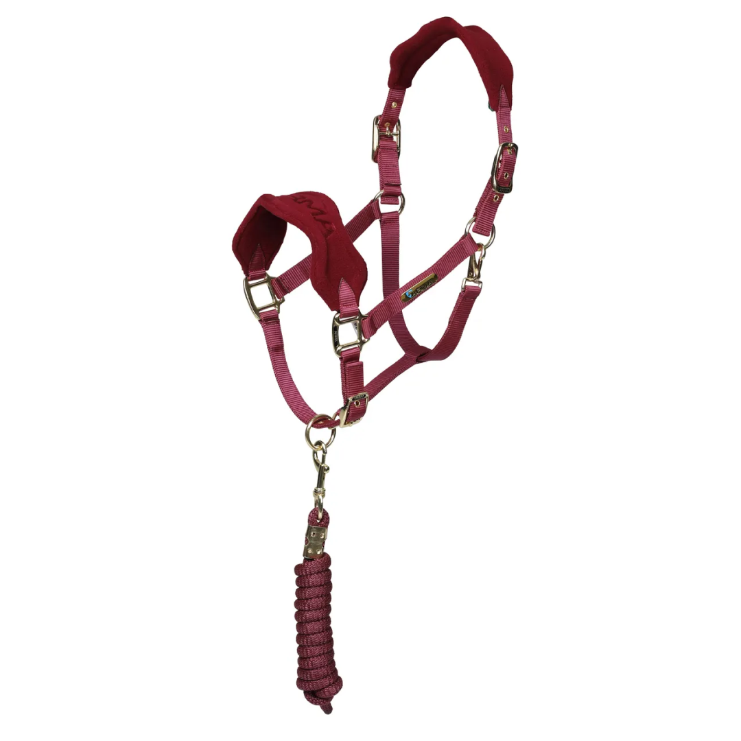 #colour_burgundy
