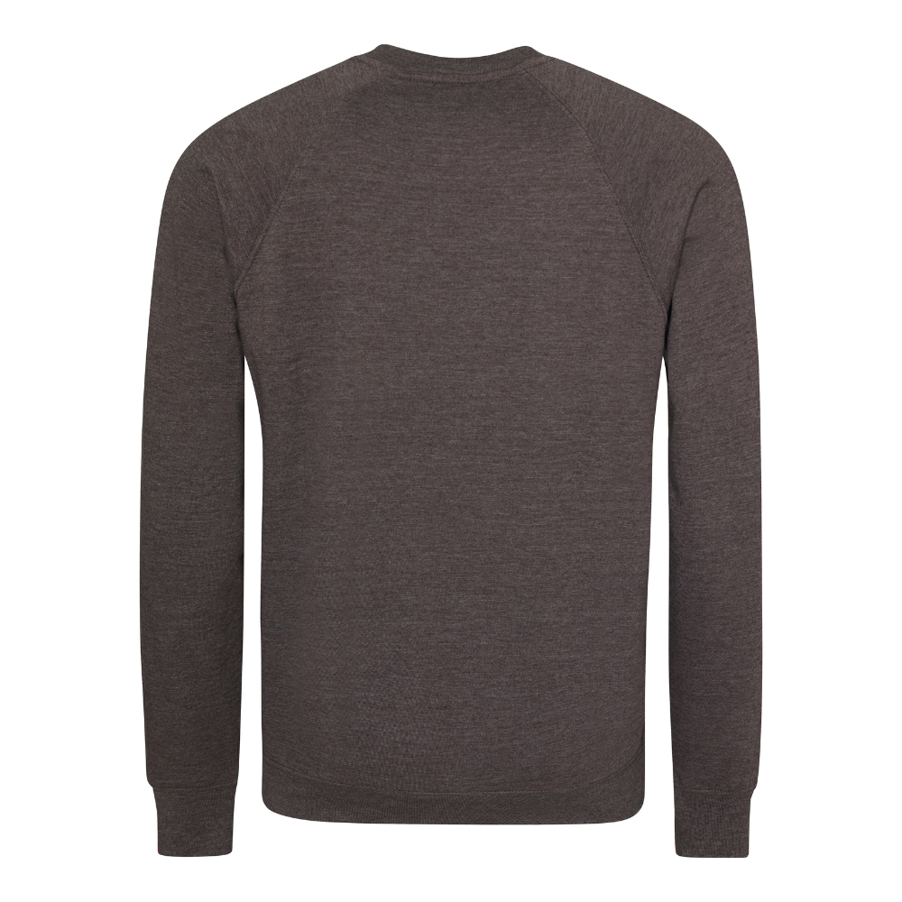 Awdis Academy Senior Raglan Sweatshirt Crew Neck Cotton Blend Comfortable Fit
