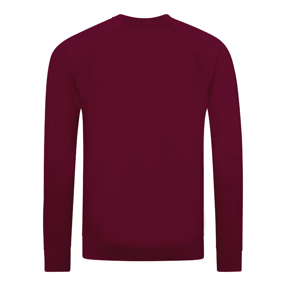 Awdis Academy Senior Raglan Sweatshirt Crew Neck Cotton Blend Comfortable Fit