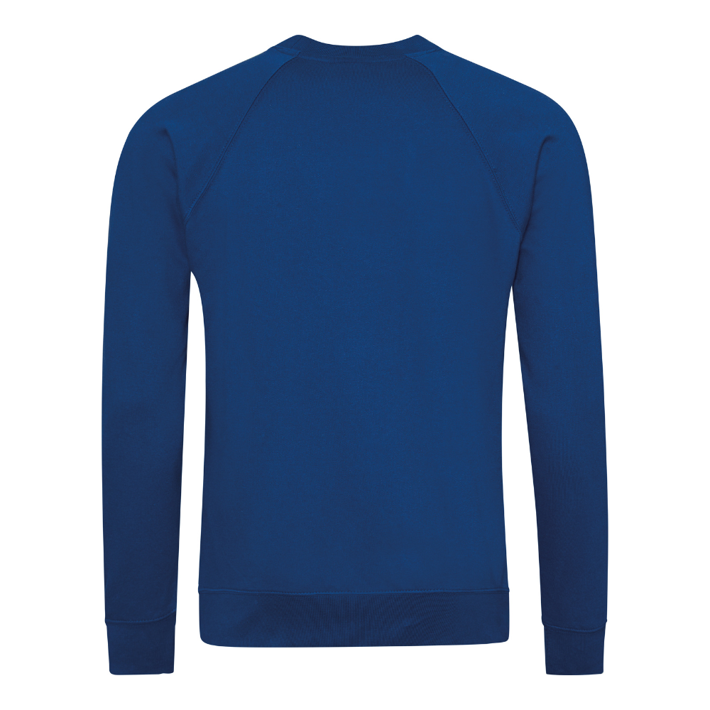 Awdis Academy Senior Raglan Sweatshirt Crew Neck Cotton Blend Comfortable Fit