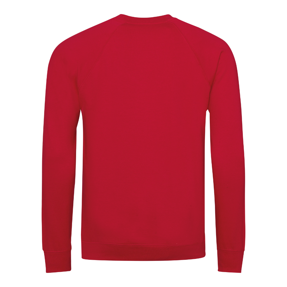 Awdis Academy Senior Raglan Sweatshirt Crew Neck Cotton Blend Comfortable Fit