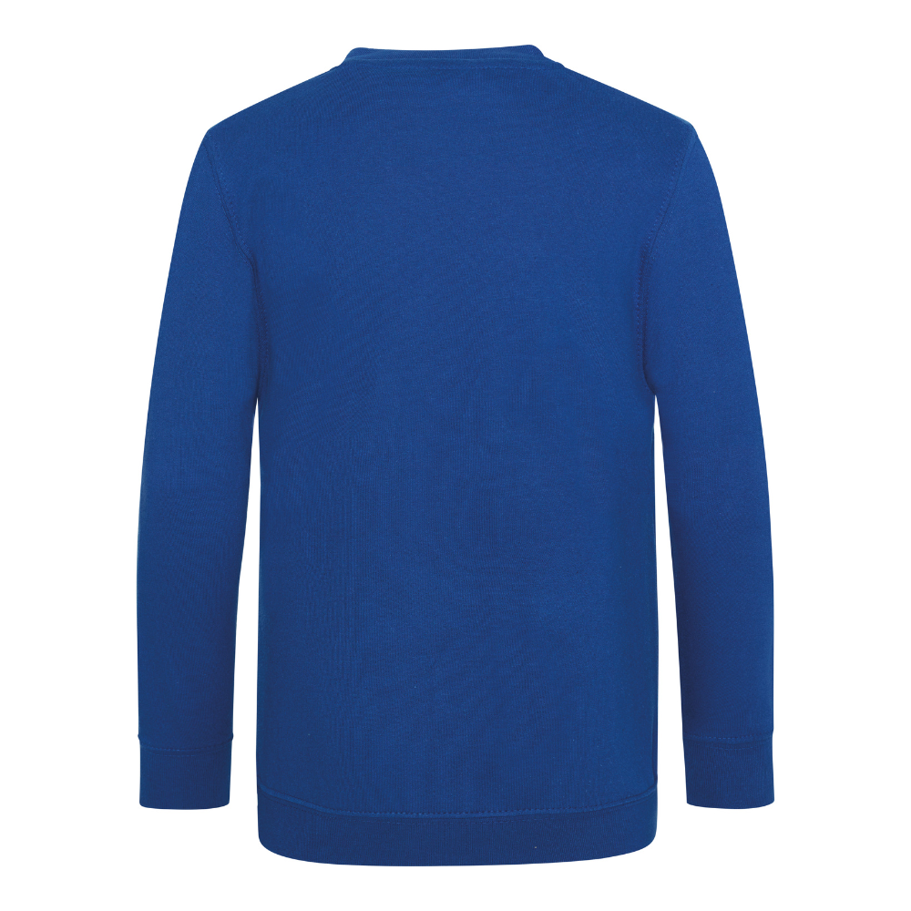 Awdis Academy Kids V-Neck Sweatshirt Soft Cotton Durable Set-In Sleeves