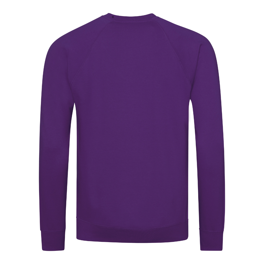 Awdis Academy Senior Raglan Sweatshirt Crew Neck Cotton Blend Comfortable Fit