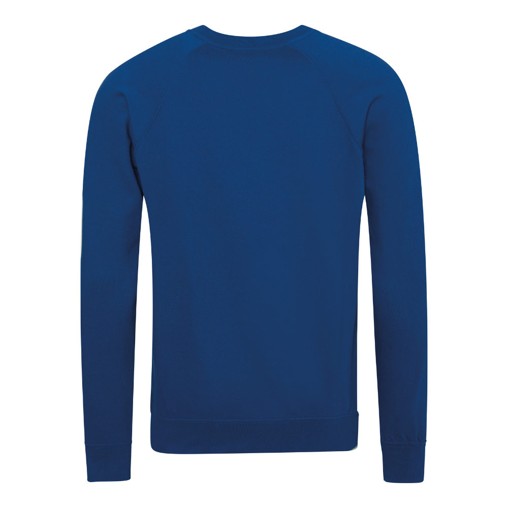 Awdis Academy Senior Raglan Sweatshirt Crew Neck Cotton Blend Comfortable Fit