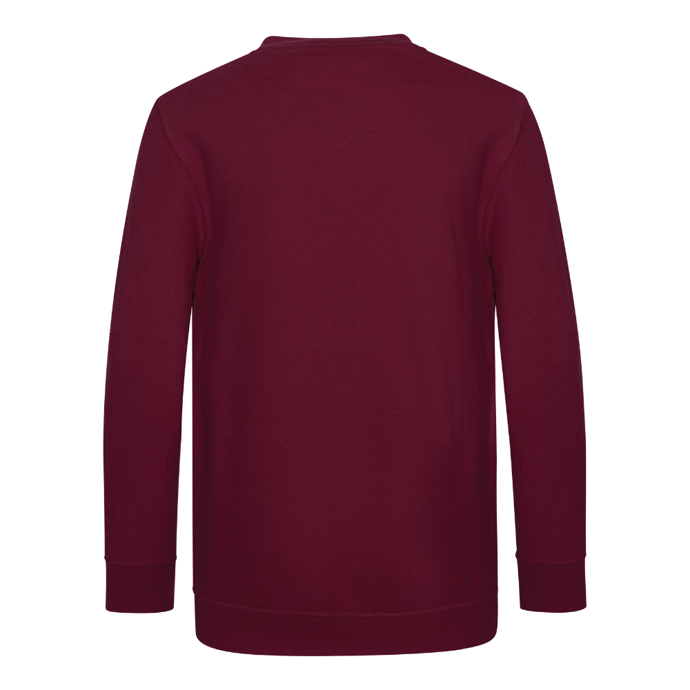 Awdis Academy Kids V-Neck Sweatshirt Soft Cotton Durable Set-In Sleeves