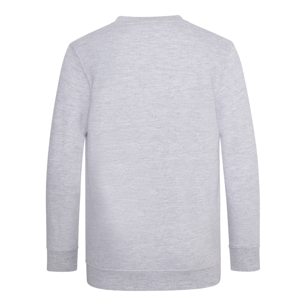 Awdis Academy Kids V-Neck Sweatshirt Soft Cotton Durable Set-In Sleeves