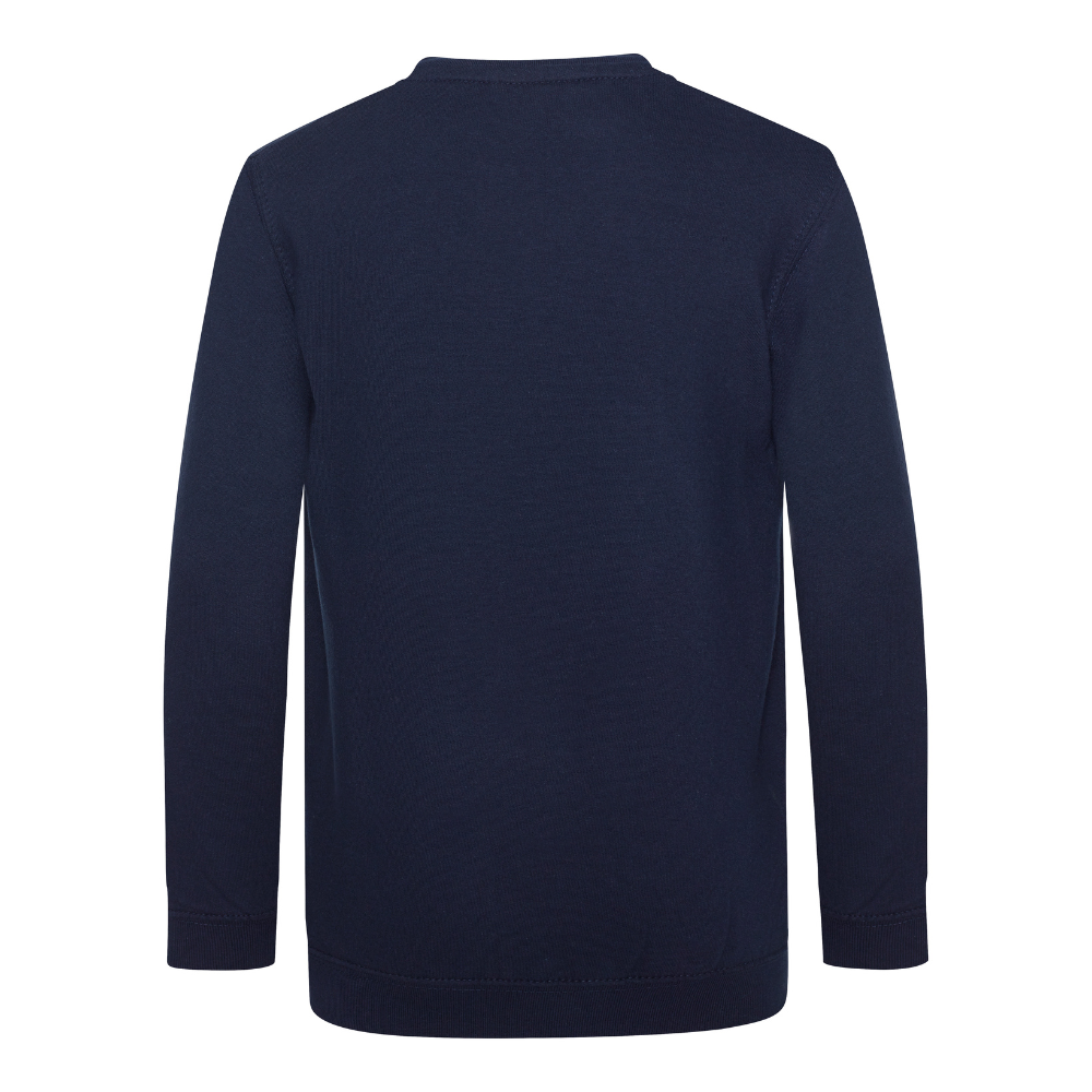 Awdis Academy Kids V-Neck Sweatshirt Soft Cotton Durable Set-In Sleeves