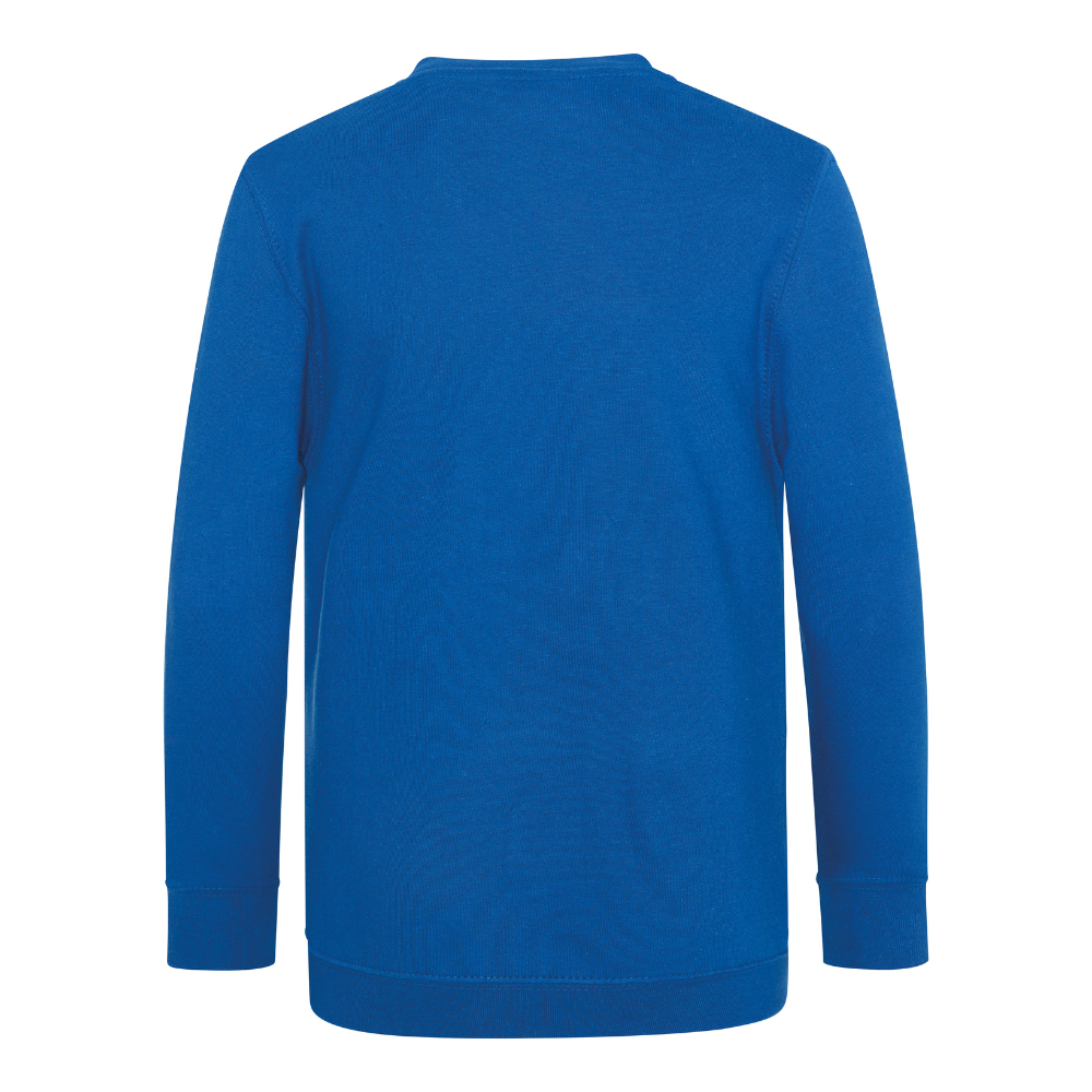 Awdis Academy Kids V-Neck Sweatshirt Soft Cotton Durable Set-In Sleeves