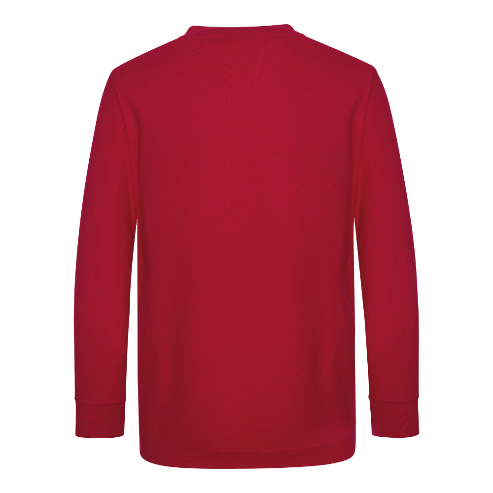 Awdis Academy Kids V-Neck Sweatshirt Soft Cotton Durable Set-In Sleeves
