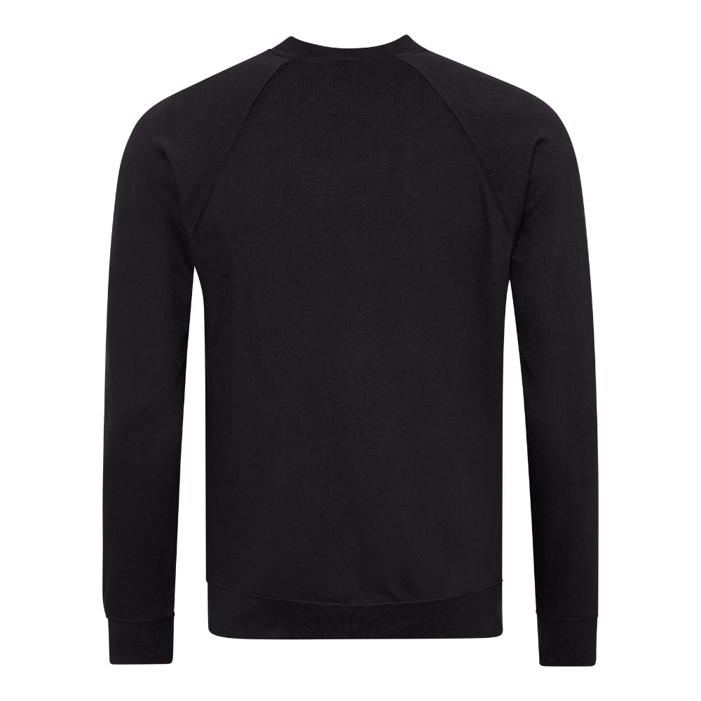 Awdis Academy Senior Raglan Sweatshirt Crew Neck Cotton Blend Comfortable Fit