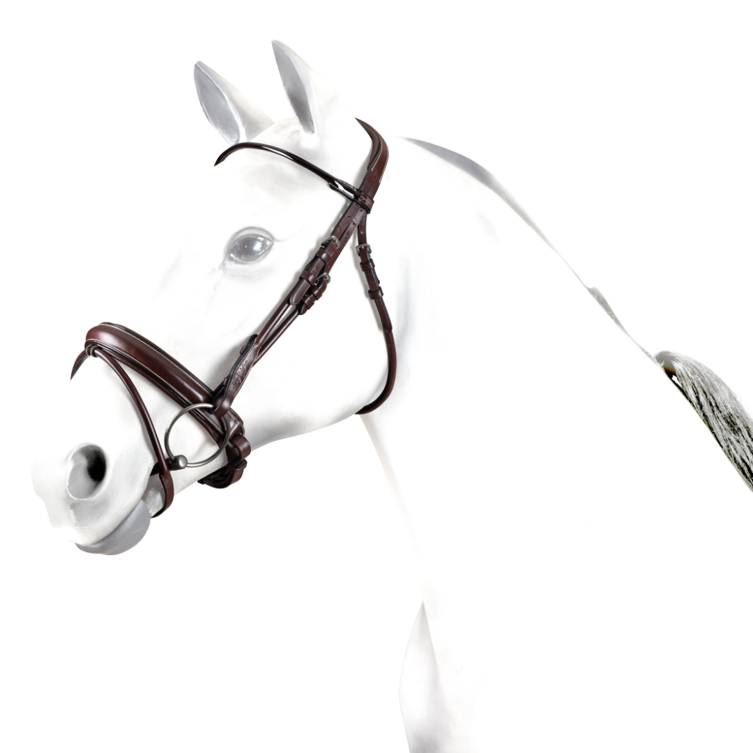 Equipe No Stress Tubular Bridle #colour_brown