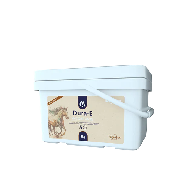 Hestevard DuraE Vitamin E Supplement for Horses Antioxidant Support
