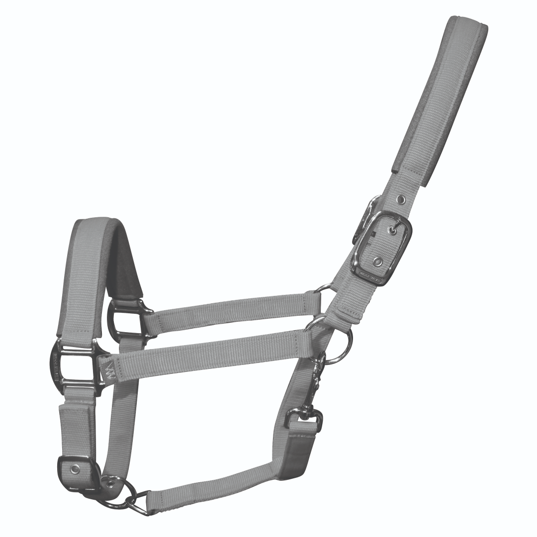 Woof Wear Colour Fusion Contour Headcollar #colour_brushed-steel