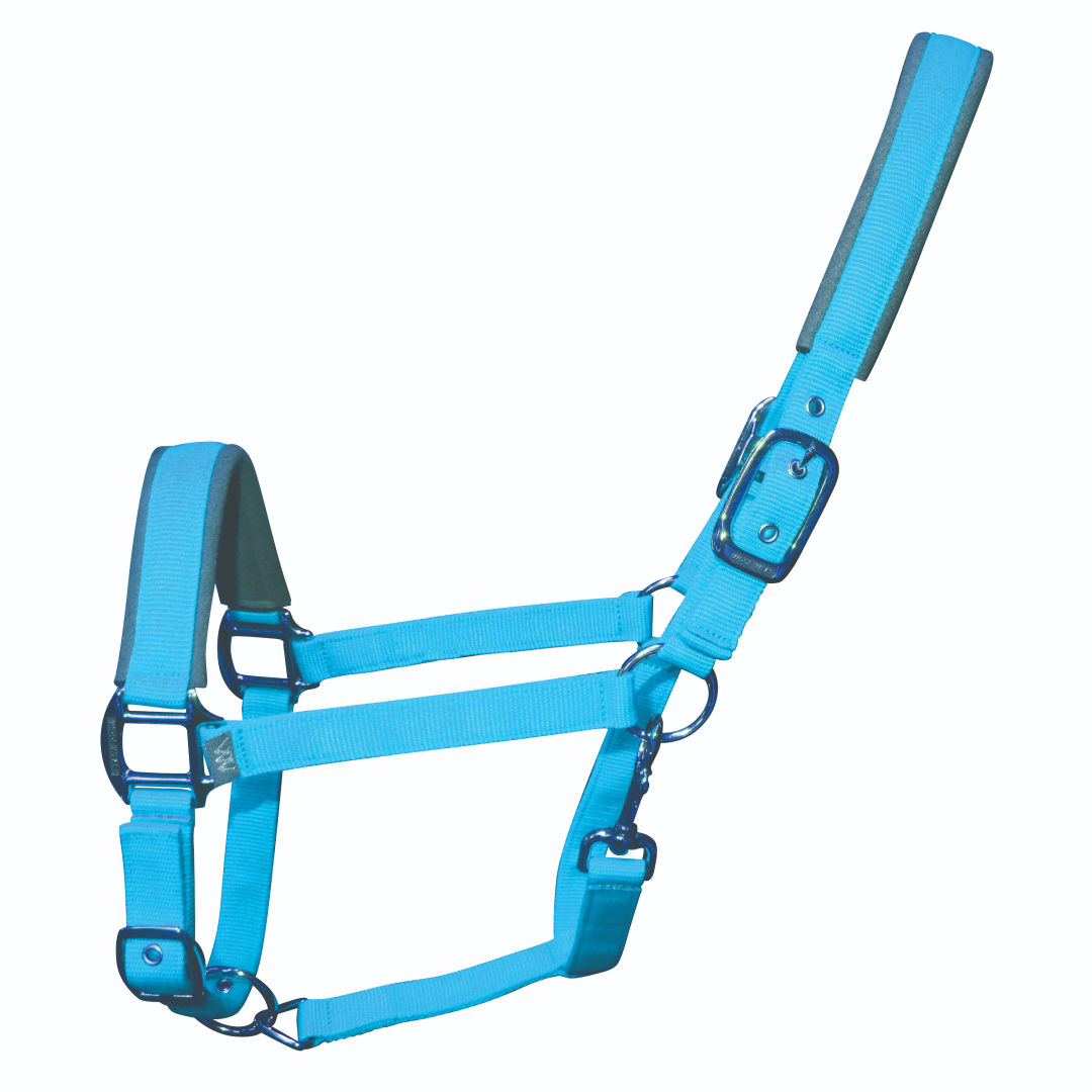 Woof Wear Colour Fusion Contour Headcollar #colour_turquoise