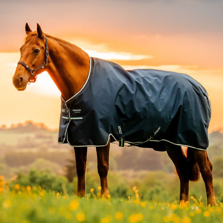 Horseware Ireland Amigo Ripstop 900D 100g Turnout Rug #colour_whitney-navy