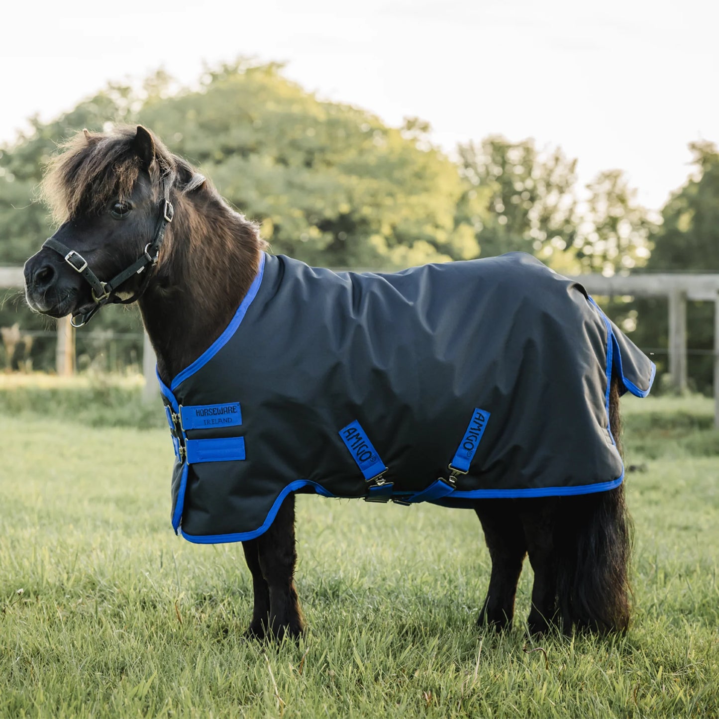 Horseware Ireland Amigo Ripstop 900D Petite 200g Turnout Rug For Miniature