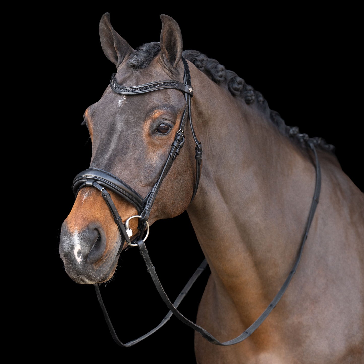 Imperial Riding Snaffle Bridle with English Noseband #colour_black-black
