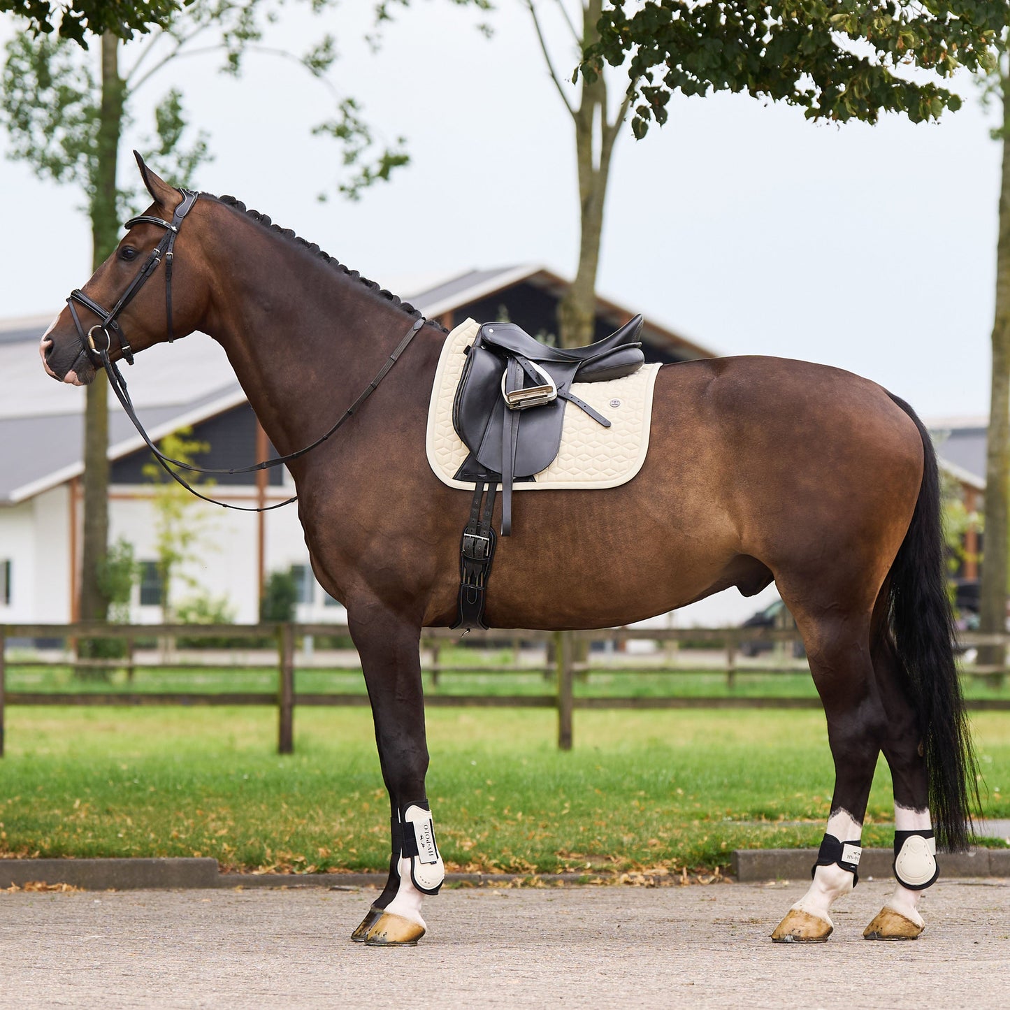 HV Polo Essential Dressage Saddle Pad #colour_cashmere