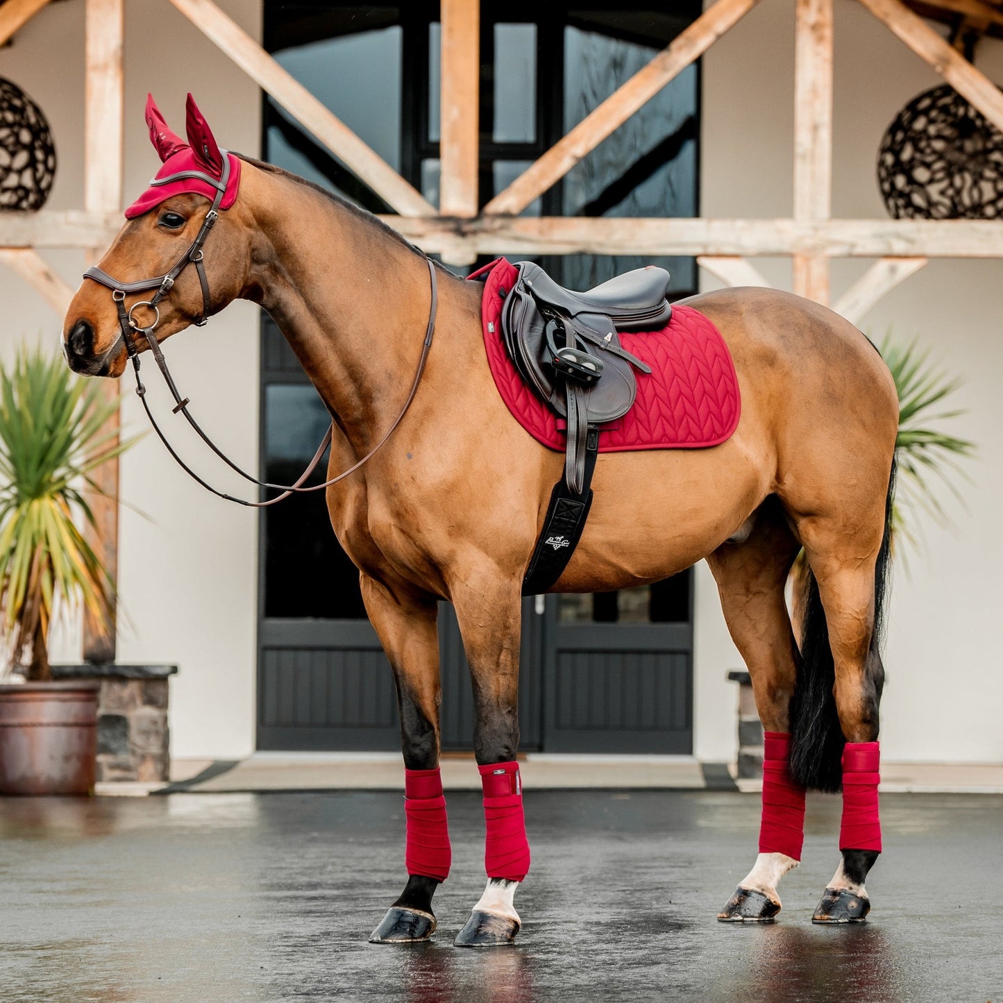 Horseware Ireland Amigo GP Saddle Pad #colour_mulberry