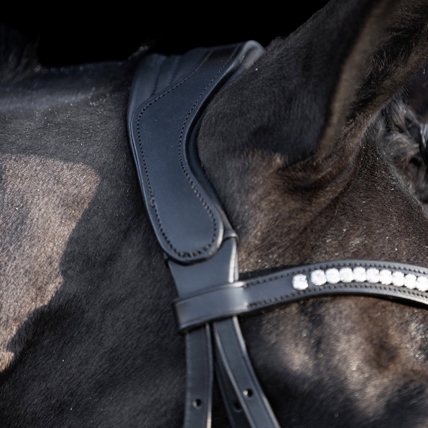 HV Polo Legacy Deluxe Bridle #colour_black