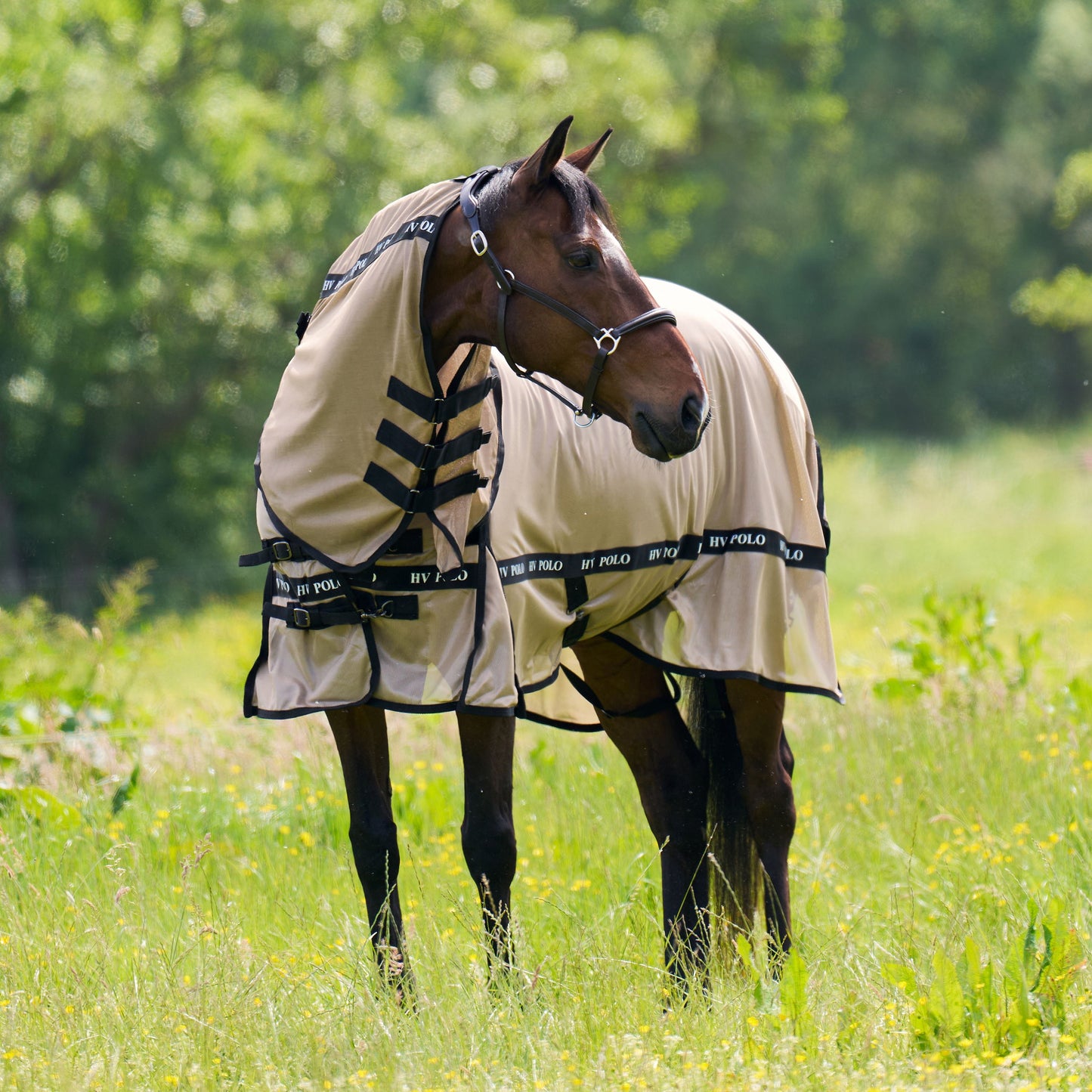 HV Polo Horse Nena Fly Blanket For Horses With Detachable Neck and Belly Flap