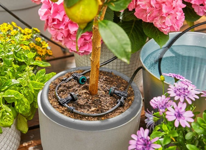 Gardena AquaBloom Set Automatic Plant Watering System for 20 Plants