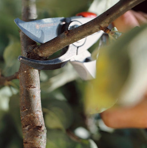 Gardena Premium Secateurs B+/L 25mm Cutting Diameter Ergonomic Handles