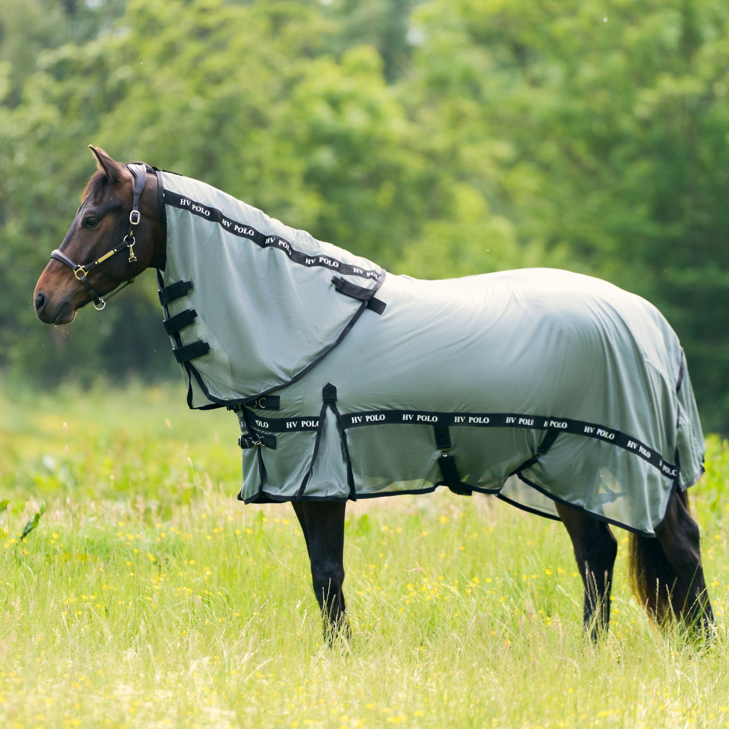 HV Polo Horse Nena Fly Blanket For Horses With Detachable Neck and Belly Flap