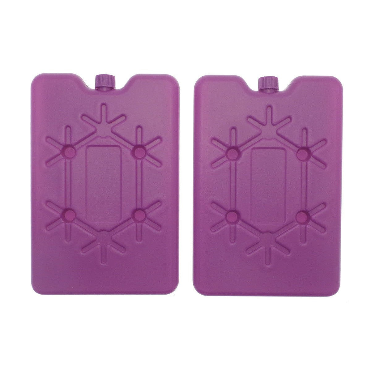 Home & Living Large Freezer Blocks 2-Pack Reusable Space-Saving Ice Packs