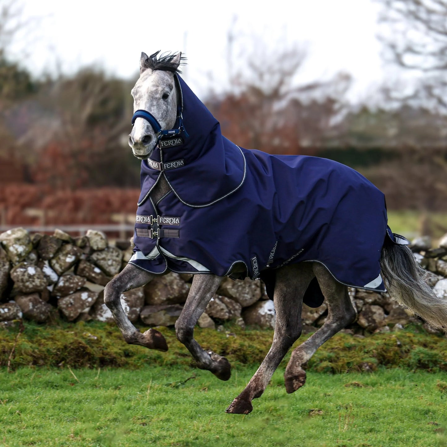 Ferdia Equine Horse Chieftain 0g 1200D Ripstop Polyester Turnout Rug Waterproof