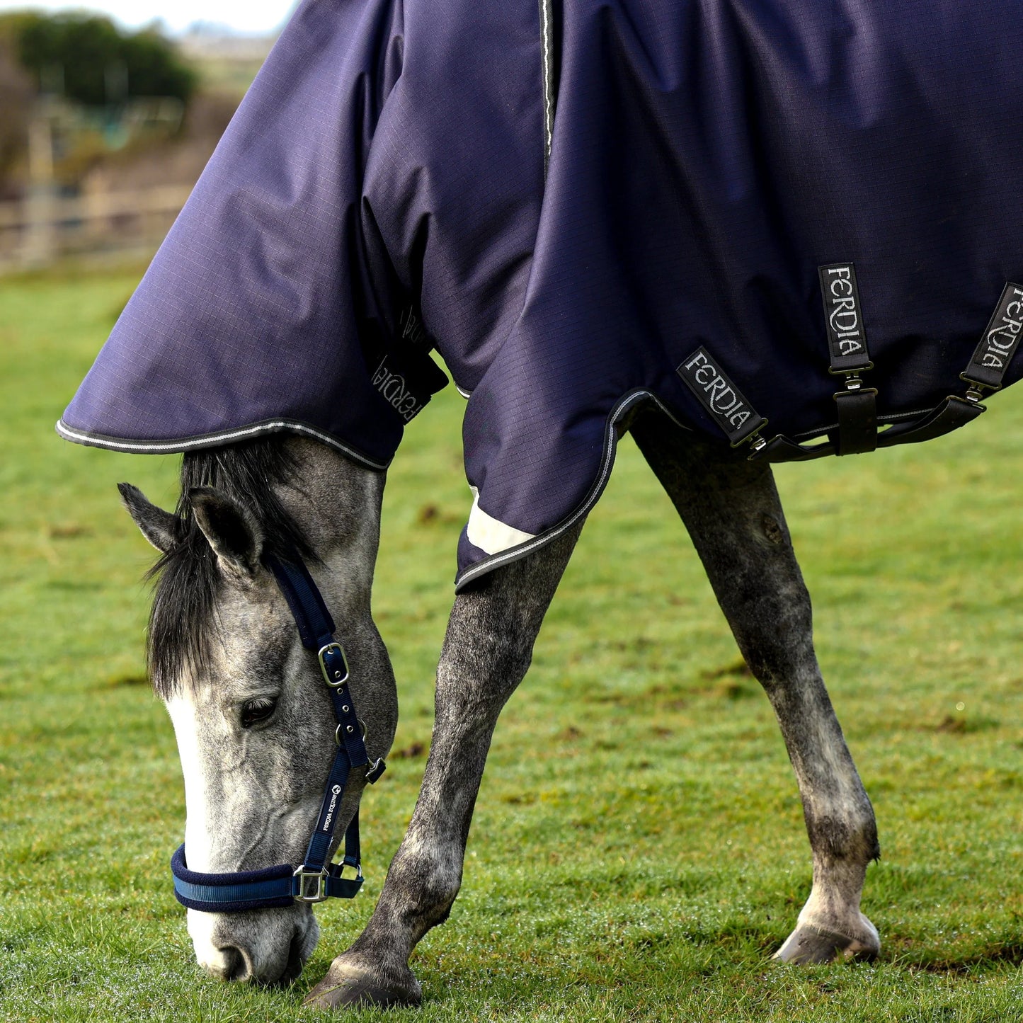 Ferdia Equine Horse Chieftain 0g 1200D Ripstop Polyester Turnout Rug Waterproof