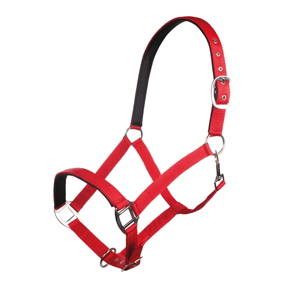 HKM Charming Head Collar #colour_cerise