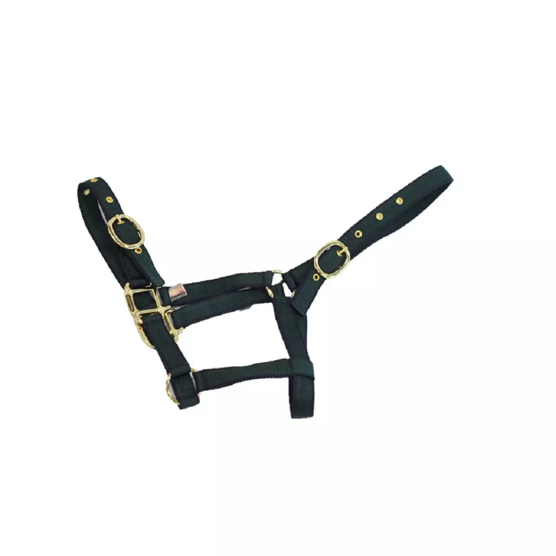 Mackey Equisential Nylon Headcollar #colour_navy-green